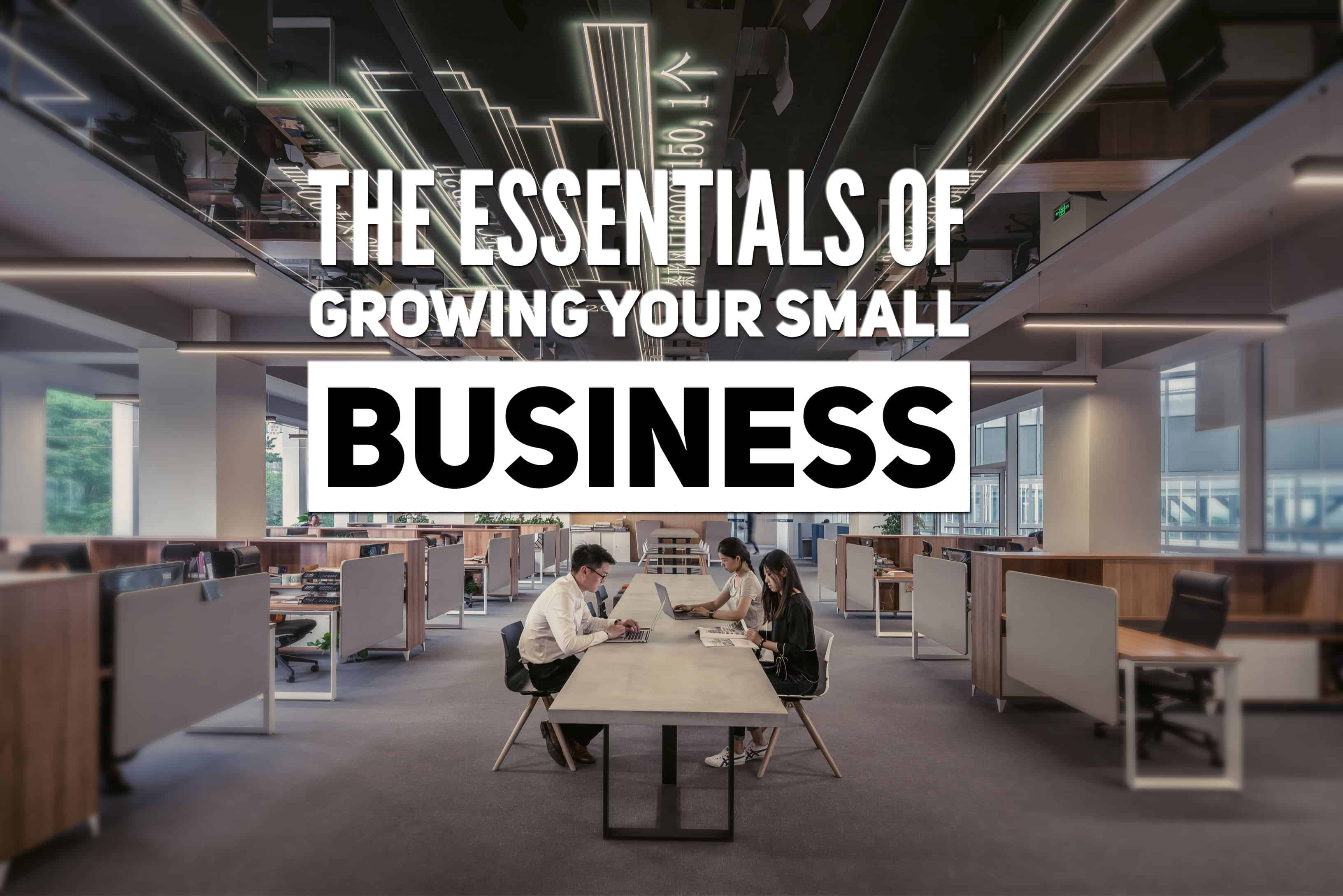 The Essentials of Growing your Small Business